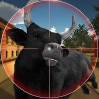 Game Bull Shooting
