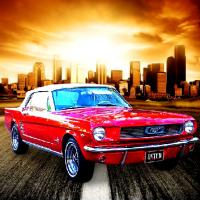 Game Daily Mustang Jigsaw