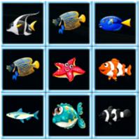 Game Fish Connections