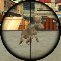 Game Rabbit Shooter